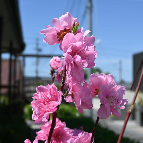 imgrc0096063601.jpg