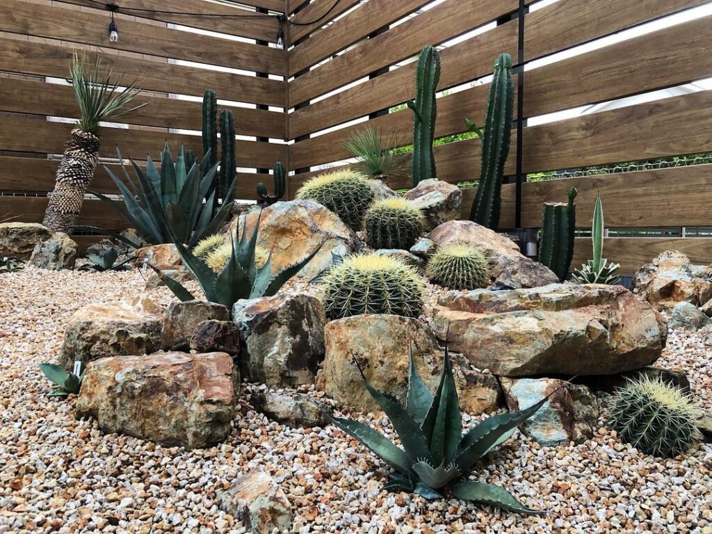 ドライガーデンとロックガーデンの違い5選｜費用・メンテ比較【岐阜