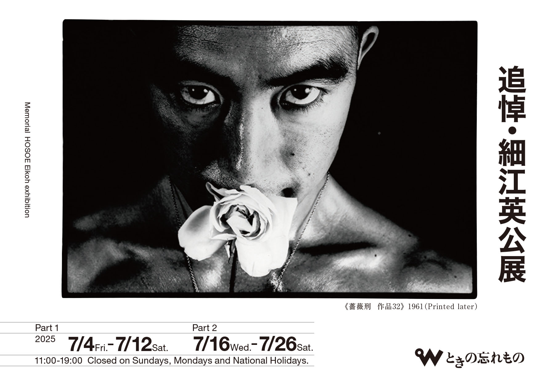 379_a.jpg?w=1200