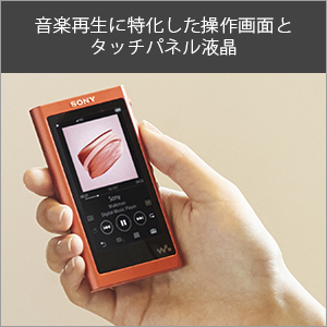 Amazon.co.jp: ソニー ウォークマン Aシリーズ 16GB NW-A45