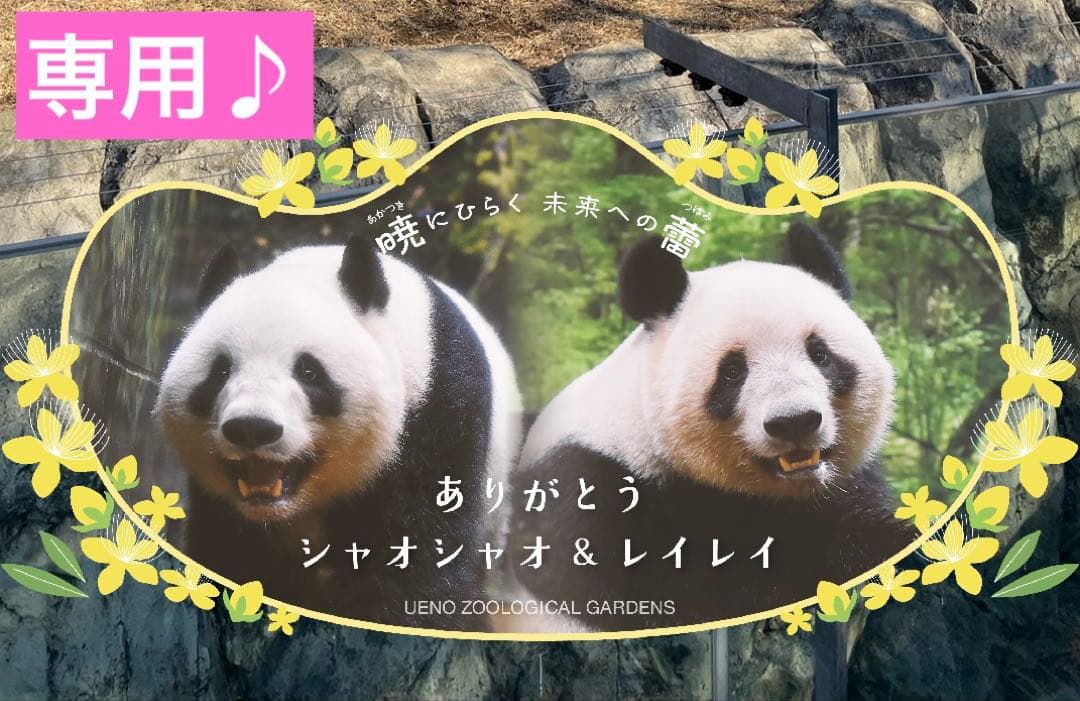 専用　シャオシャオ＆レイレイ お姉ちゃんと双子の兄妹 😆 2022.05.01 📷 #シャンシャン