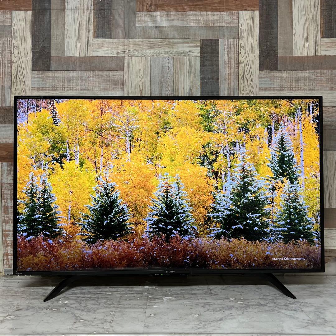 全国送料込❣️シャープ50V型4K液晶 テレビ AQUOS 2番組同時録画可 シャープ 4T-C50FN2 50v型 液晶テレビ AQUOS 4K【DD】 | ヤマダウェブコム
